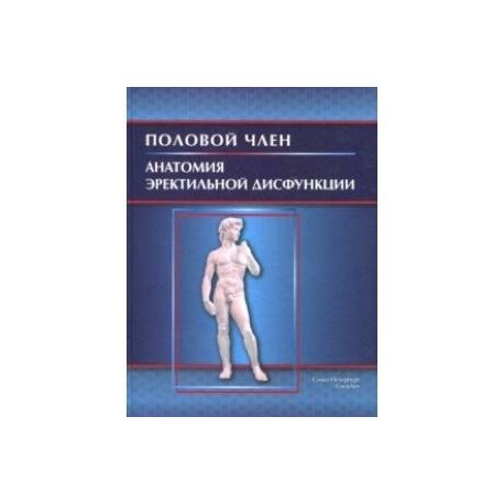 Половой член. Анатомия эректильной дисфункции