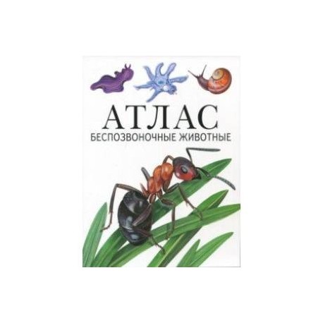 Атлас. Беспозвоночные животные
