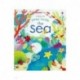 Peep Inside the Sea
