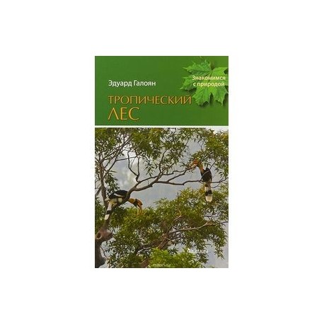 Тропический лес