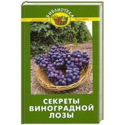 Секреты виноградной лозы