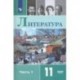 Литература. 11 класс. Учебник. Базовый уровень. В 2-х частях. ФП