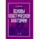 Основы пластической анатомии. Учебное пособие