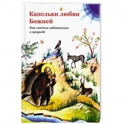 Капельки любви Божией. Как святые заботились о природе