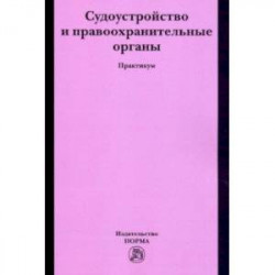 Судоустройство и правоохранительные органы. Практикум
