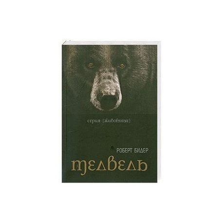 Медведь