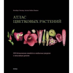 Атлас цветковых растений. 200 ботанических семейств в необычных ракурсах и мельчайших деталях