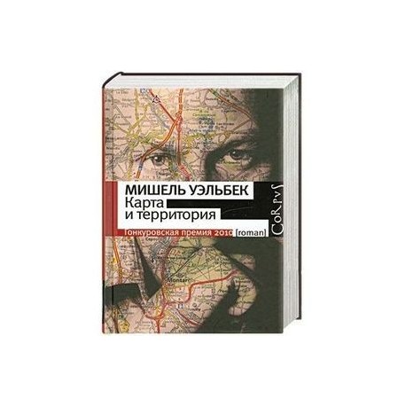 Мишель уэльбек карта и территория читать онлайн бесплатно полную версию