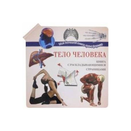 Тело человека