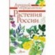 Растения России