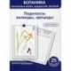 Ботаника. Систематика грибов, водорослей, растений. Подклассы лилииды, арециды