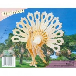 Павлин (M014A)