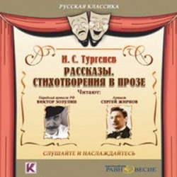 Рассказы. Стихотворения в прозе (CDmp3)