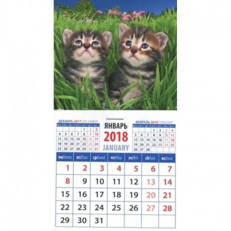 2018 Календарь 'Котята в траве' (20812)