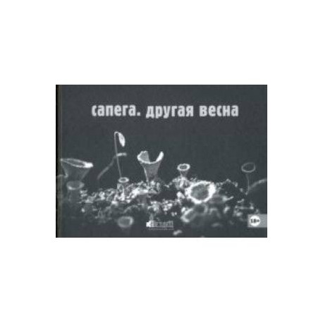 Сапега. Другая весна