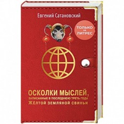 Осколки мыслей, записанные в последнюю треть года Желтой Земляной Свиньи