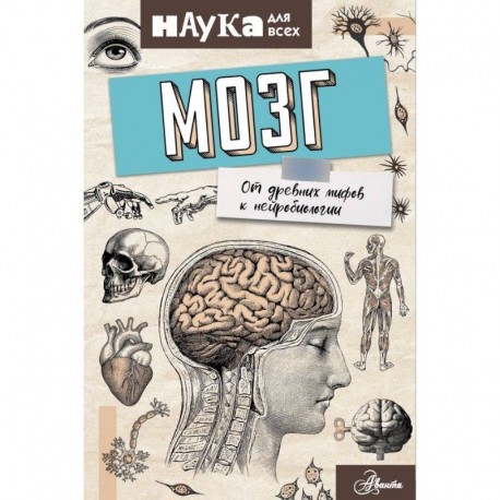 Мозг. От древних мифов к нейробиологии