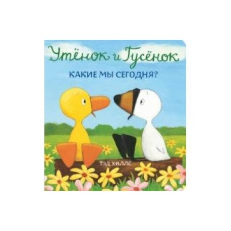 Утёнок и Гусёнок. Какие мы сегодня?