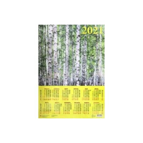 Календарь настенный на 2021 год 'Березовая роща' (90114)