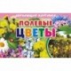 Карточки. Полевые цветы 