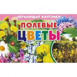 Карточки. Полевые цветы 