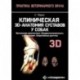 Клиническая 3D-анатомия суставов у собак. Визуальная диагностика. Предрасположенность к патологиям