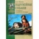 Подружейные собаки. Ретриверы, спаниели, легавые