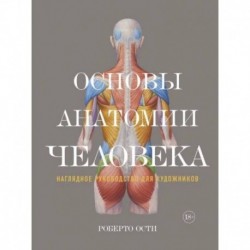 Основы анатомии человека. Наглядное руководство для художника