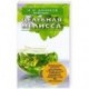 Целебная мелисса