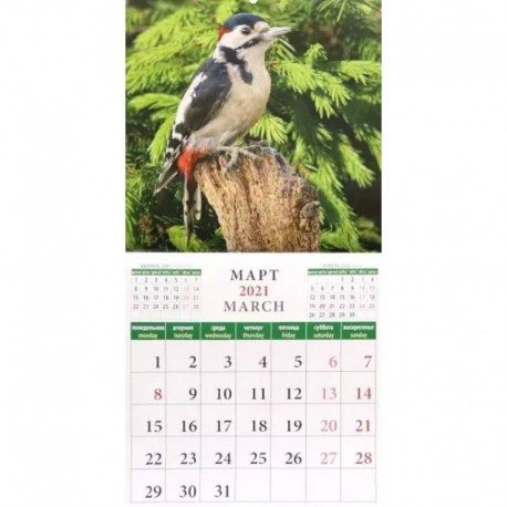 Календарь на 2021 год 'Календарь природы' (70108)