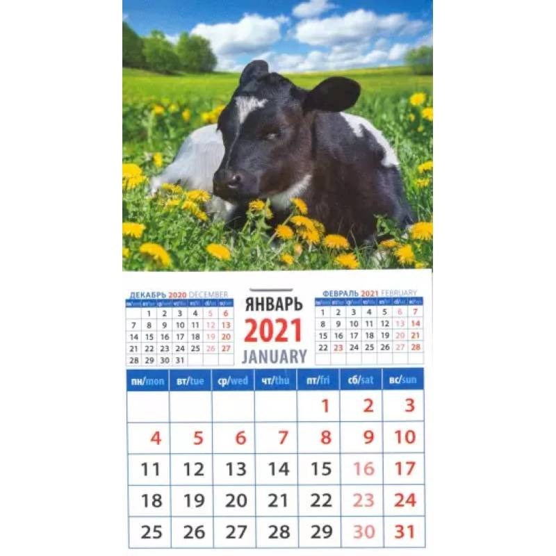 2021 год удачный. Настенный календарь с магнитным бегунком пяти блочный. Календарь с быком за 2021 год. Календарь с быком на машине за 2021 год.