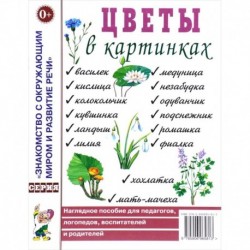 Цветы в картинках. Наглядное пособие для педагогов, логопедов, воспитателей и родителей