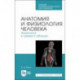 Анатомия и физиология человека в схемах и таблицах. Учебное пособие