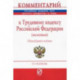 Комментарий к Трудовому кодексу Российской Федерации (постатейный)