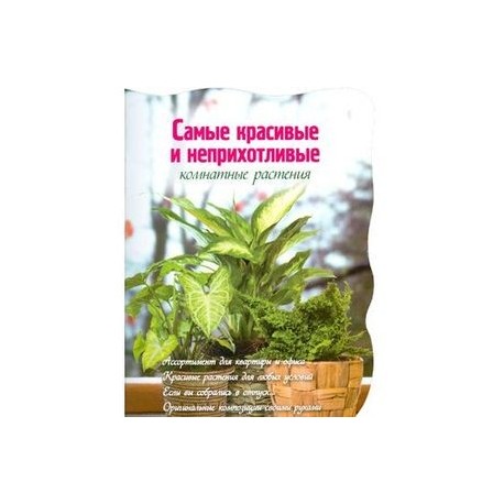 Самые красивые и неприхотливые комнатные растения