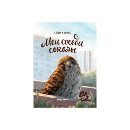 Мои соседи соколы