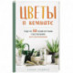 Цветы в комнате. Гид по 50 комнатным растениям для начинающих
