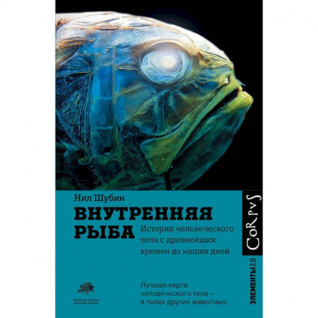 Внутренняя рыба