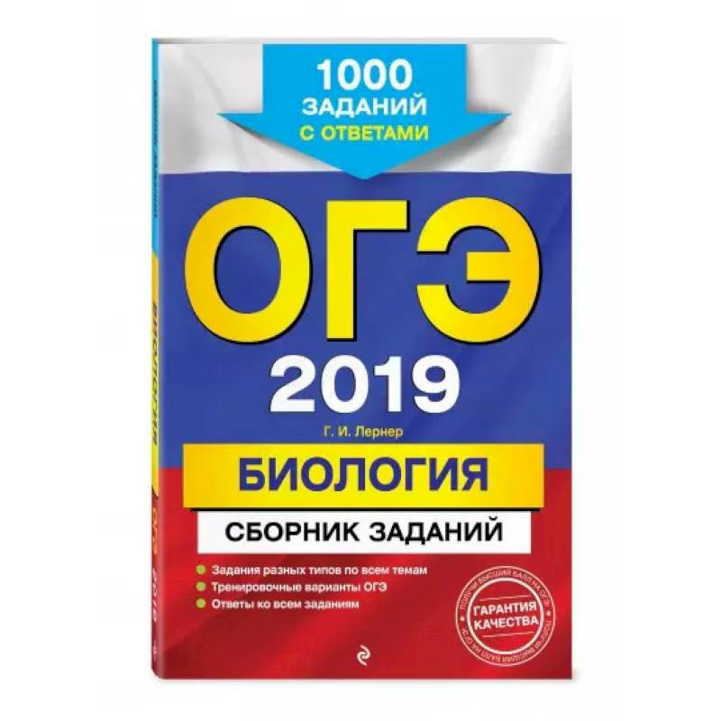 Огэ обществознание 9 класс 2024 теория