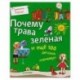 Почему трава зелёная и ещё 100 детских «почему»