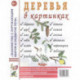 Деревья в картинках