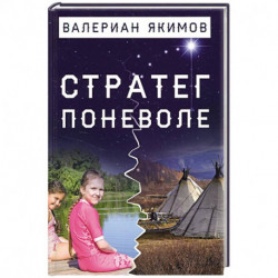 Стратег поневоле