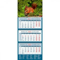 Календарь квартальный на 2022 год 'Белка с орехом' (14263)
