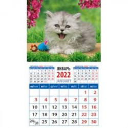 Календарь 2022 'Забавный котенок' (20215)