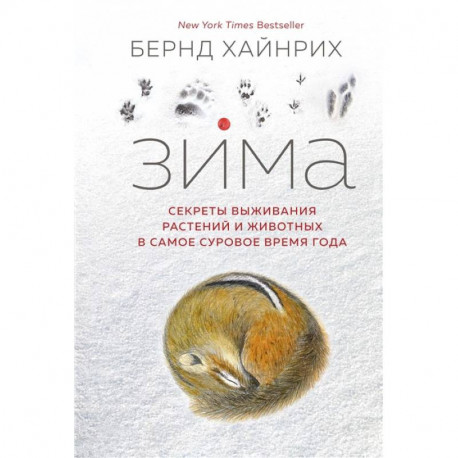 Зима.Секреты выживания растений и животных в самое суровое время года