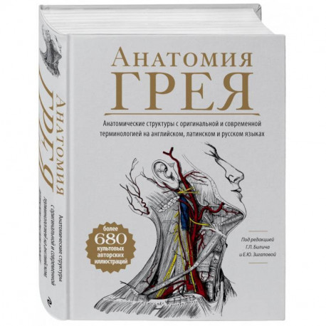 Анатомия Грея. Анатомические структуры с оригинальной и современной терминологией на английском, латинском и русском