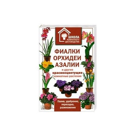 Фиалки, орхидеи, азалии и другие красивоцветущие комнатные растения