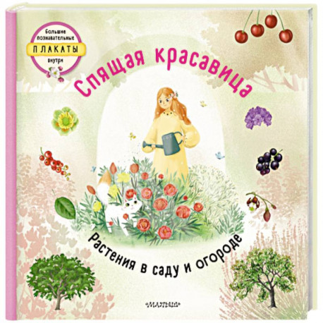 Спящая красавица