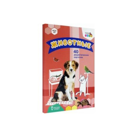 Животные. 40 дидактических карточек