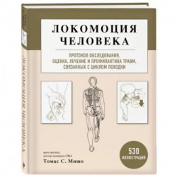 Локомоция человека. Протокол обследования, оценка, лечение и профилактика травм, связанных с циклом походки